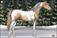 Horse Color:Chestnut Pearl Tobiano