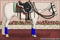 Horse Color:Perlino Roan 