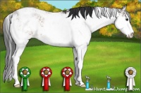 Horse Color:Buckskin Sabino