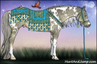 Horse Color:White Spotted Chocolate Palomino 