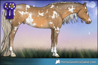 Horse Color:White Spotted Chocolate Palomino Mushroom 