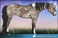 Horse Color:White Spotted Liver Red Dun Mushroom  and White Spotted Brown Dun Mushroom 