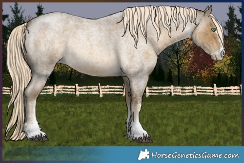 Horse Color:White Spotted Chocolate Palomino Roan Mushroom 