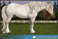 Horse Color:White Spotted Chocolate Palomino Roan Mushroom