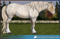 Horse Color:White Spotted Chocolate Palomino Roan Mushroom 