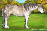 Horse Color:Perlino Sabino and Buckskin Sabino