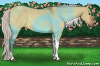 Horse Color:Silver Buckskin Dun Tobiano 