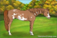 Horse Color:Chestnut Frame 