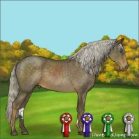 Horse Color:Chocolate Palomino Roan 