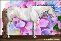 Horse Color:Buckskin Ice Pearl Tobiano 