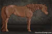 Horse Color:Chestnut Frame 