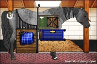 Horse Color:Smoky Blue Roan