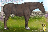 Horse Color:Black  and Silver Black 