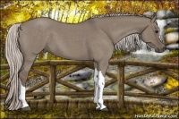 Horse Color:Silver Grullo Roan 