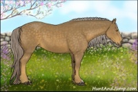 Horse Color:Chocolate Palomino 