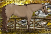 Horse Color:Liver Red Dun Roan 