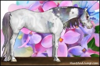 Horse Color:Nacre White Spotted Brown Onyx Sabino Rabicano