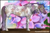 Horse Color:Nacre White Spotted Liver Red Dun