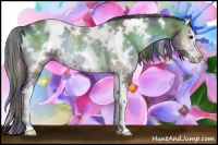 Horse Color:Nacre White Spotted Brown Onyx Sabino Rabicano 