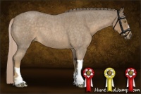 Horse Color:Chocolate Palomino Roan 