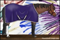 Horse Color:Bay Roan Rabicano