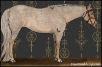 Horse Color:Chocolate Palomino Roan 