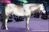 Horse Color:Platinum White Spotted Chocolate Buckskin Pearl Onyx Splash Tobiano  and Platinum White Spotted Liver Red Onyx Tobiano 