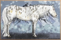 Horse Color:Silver Smoky Black Chinchilla Appaloosa and Chocolate Palomino Chinchilla Appaloosa