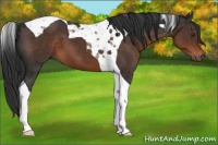 Horse Color:Liver Chestnut Tobiano 