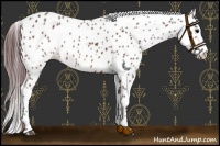 Horse Color:Chocolate Brown Leopard 