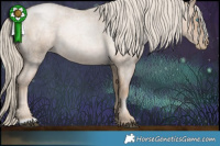 Horse Color:Chocolate Palomino Roan Pearl 
