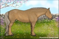 Horse Color:Chocolate Palomino 