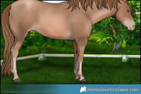 Horse Color:Liver Chestnut Pearl 