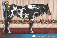 Horse Color:White Spotted Liver Chestnut 