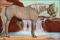 Horse Color:Chocolate Palomino Roan 