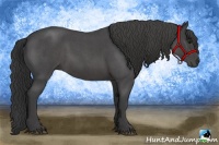 Horse Color:Smoky Blue Roan 