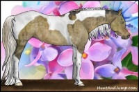 Horse Color:Chocolate Palomino Dun Tobiano 