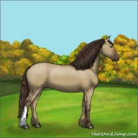Horse Color:Liver Red Dun 