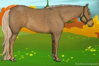 Horse Color:Chocolate Palomino Roan 