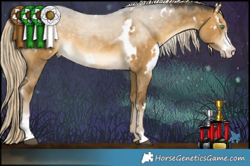 Horse Color:White Spotted Chocolate Palomino Dun Mushroom Sabino 