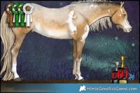 Horse Color:White Spotted Chocolate Palomino Dun Mushroom Sabino