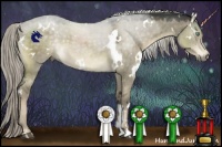 Horse Color:White Spotted Chocolate Palomino Dun Sabino