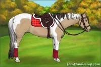 Horse Color:Buckskin Tobiano 