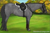 Horse Color:Smoky Blue Roan 