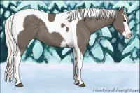 Horse Color:White Spotted Silver Black Splash Tobiano 