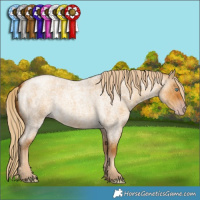 Horse Color:Gray Gold Cream Champagne Roan Dun Rabicano 