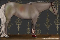 Horse Color:Silver Black 