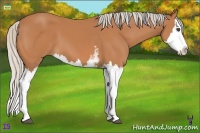 Horse Color:White Spotted Silver Bay Splash 