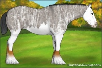 Horse Color:Grullo Ice Splash 