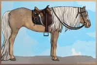 Horse Color:Chocolate Palomino Roan 